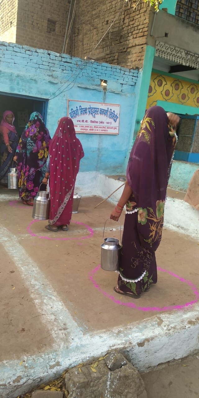 Milk product increase Babina, bamaur and month