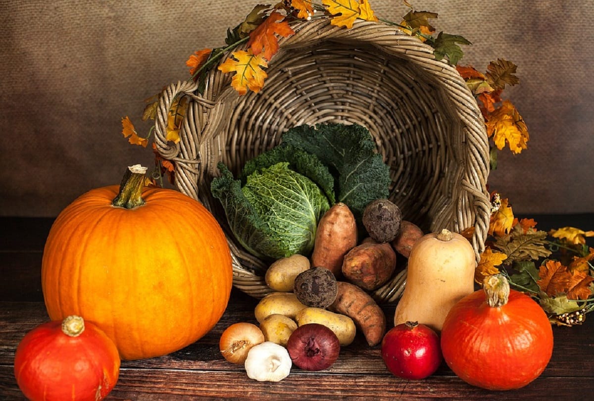 You can get protein from these vegetarian vegetables