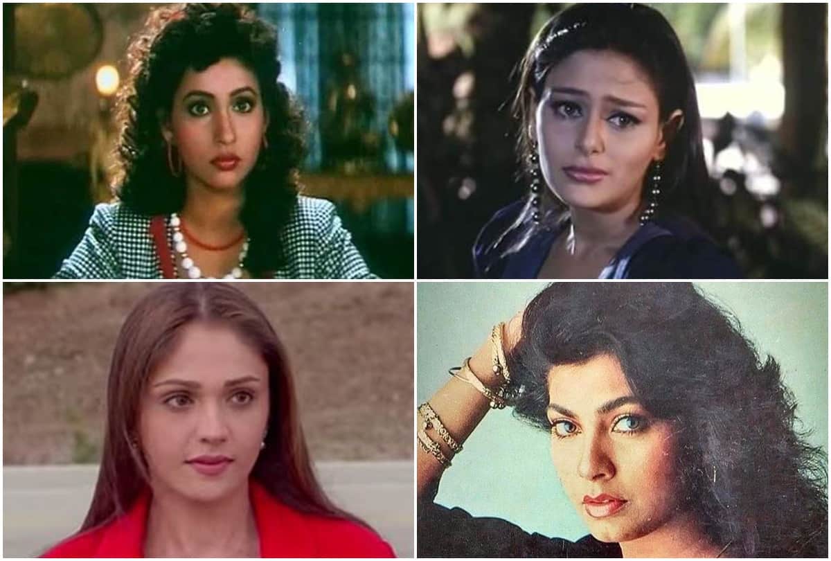 Bollywood Actresses Never Appeared After Giving Hit Film Ashwini Bhave Kimi Katkar Mayuri Kango Sonam Sneha Ullal