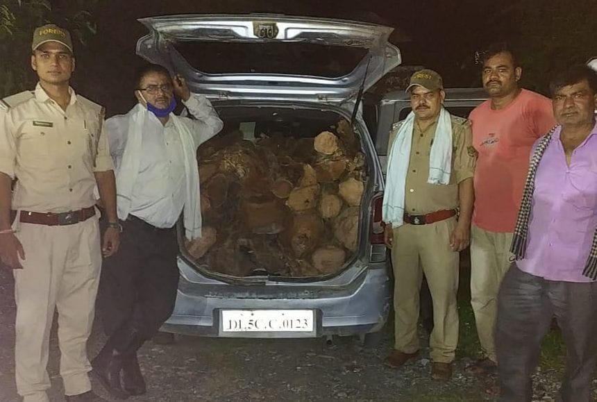 one car filled with Khair logs seized