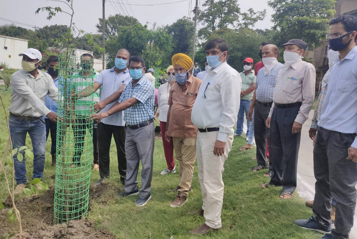 Ward 15 will be first made carbon neutral: urban