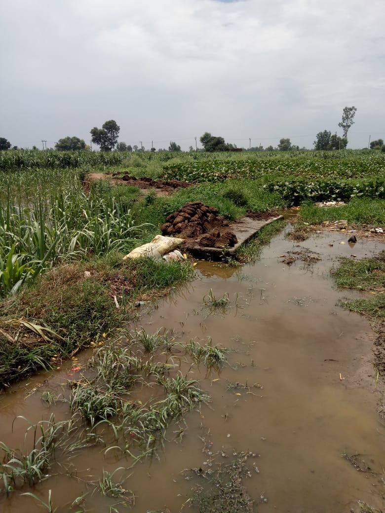 Flooded with dirt, fear of diseases
