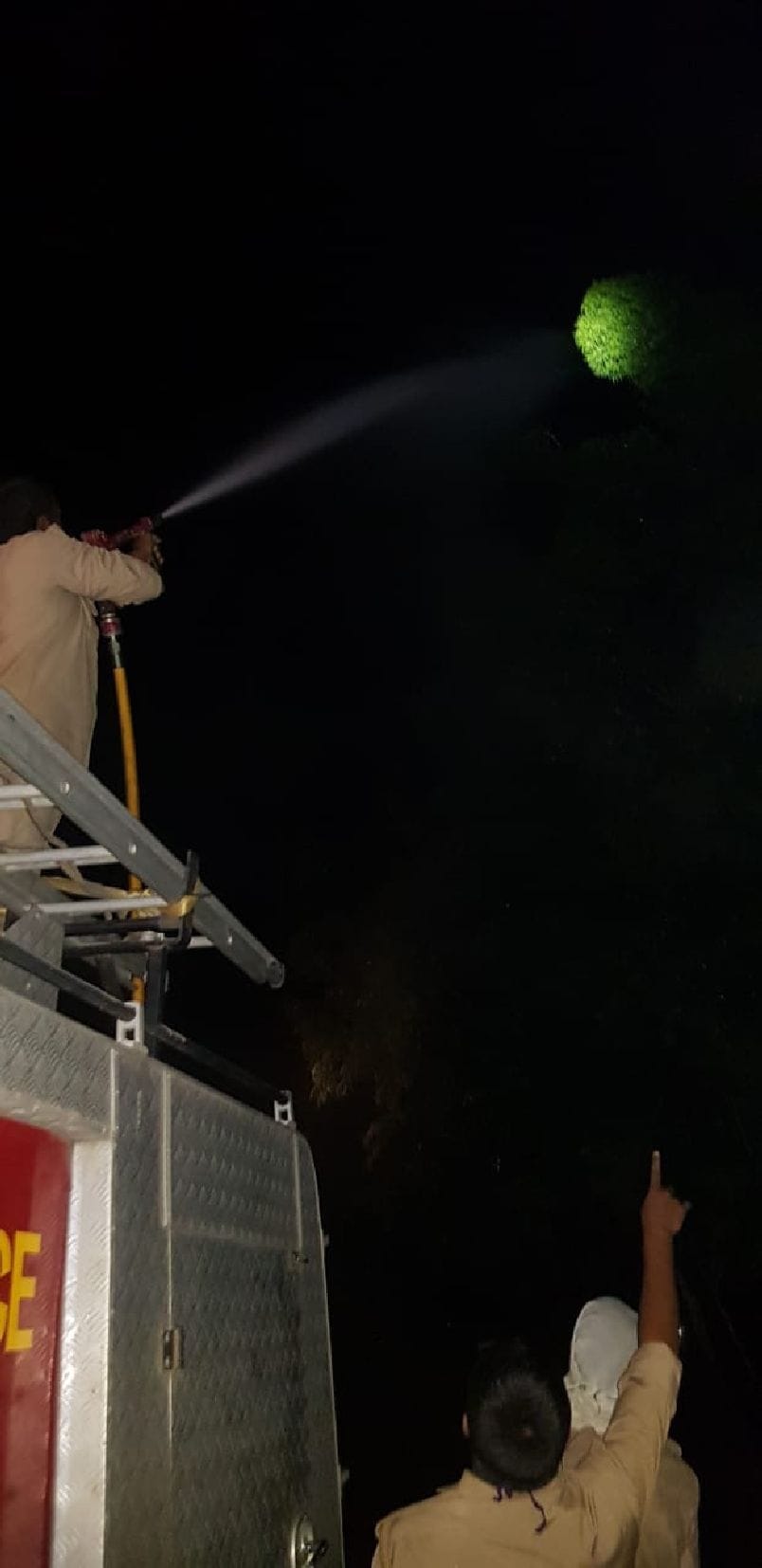 Locust party arrived in the night, was driven away by water splashes