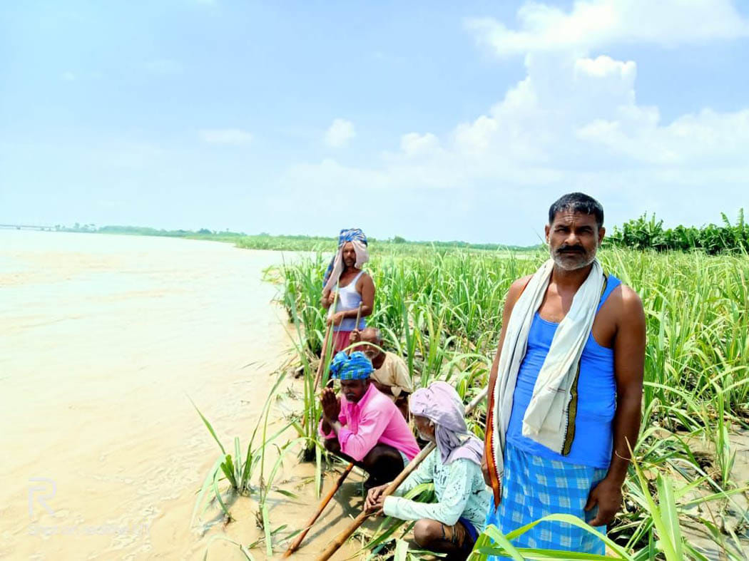 150 acre crop destroy in gandak river