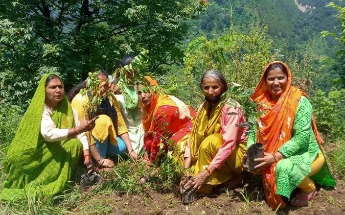 Harela festival is a symbol of greenery
