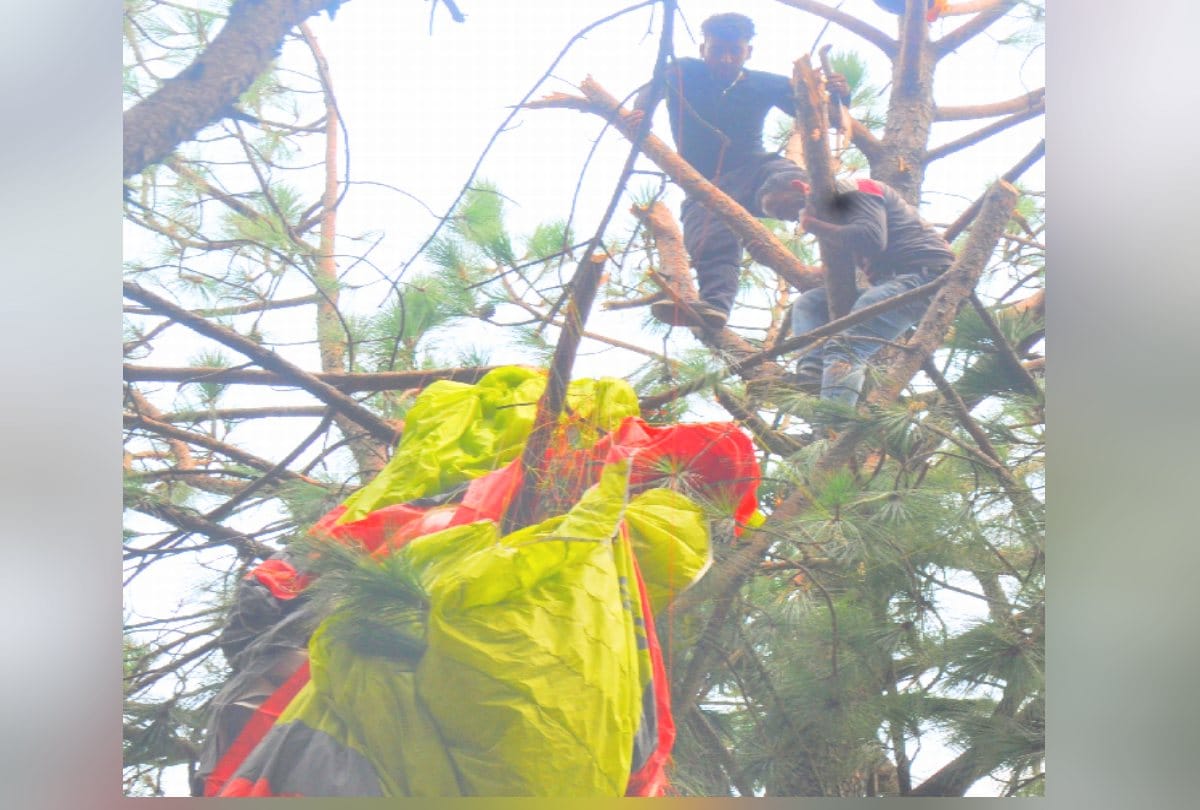 Paraglider stuck in tree, two pilots hanging for four hours in kangra himachal, see pics