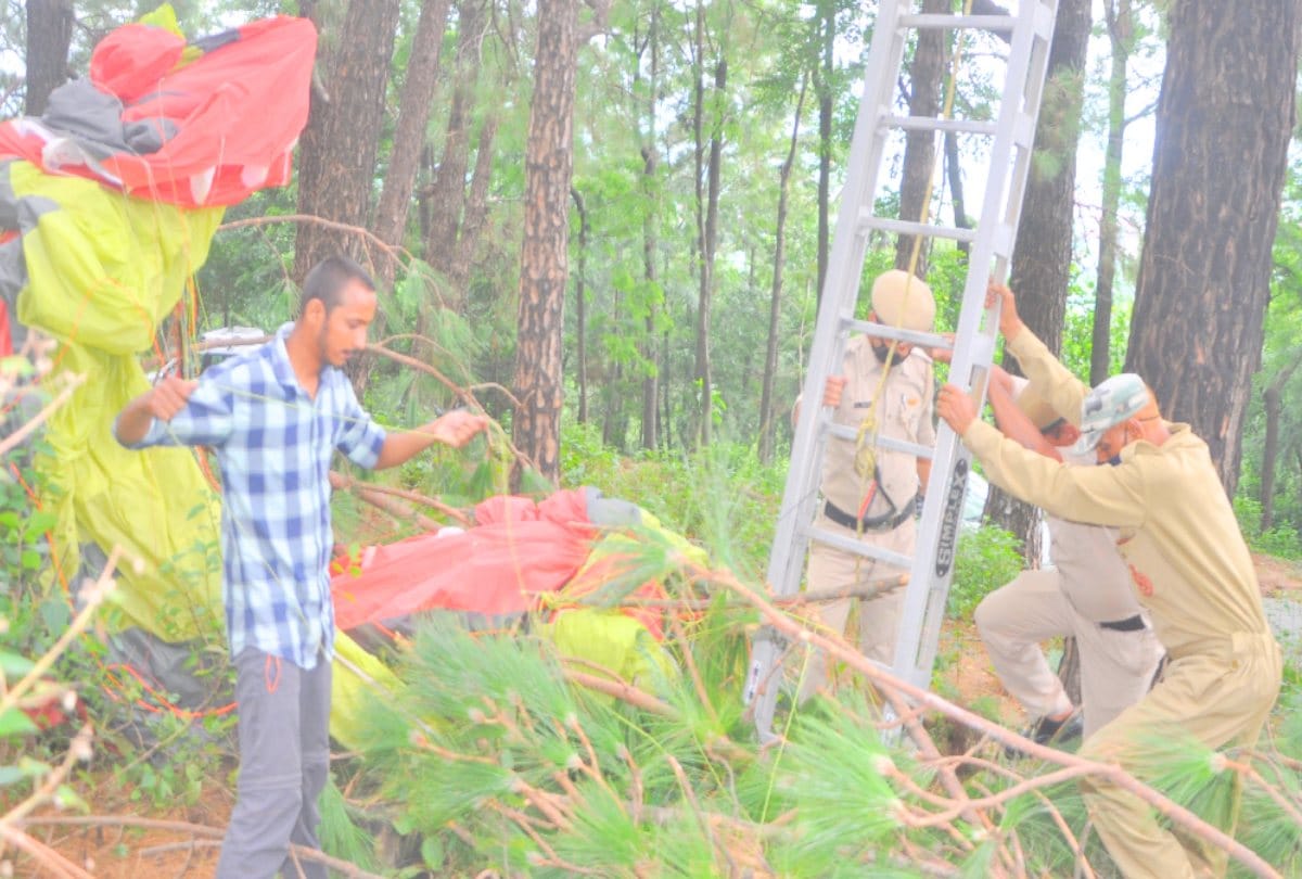 Paraglider stuck in tree, two pilots hanging for four hours in kangra himachal, see pics