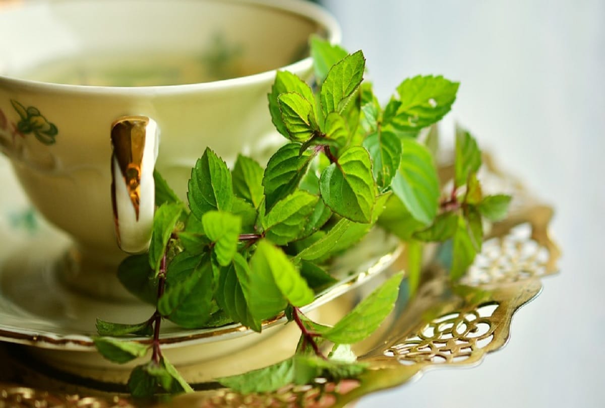 Home remedies to clean stomach or irregular bowel movement