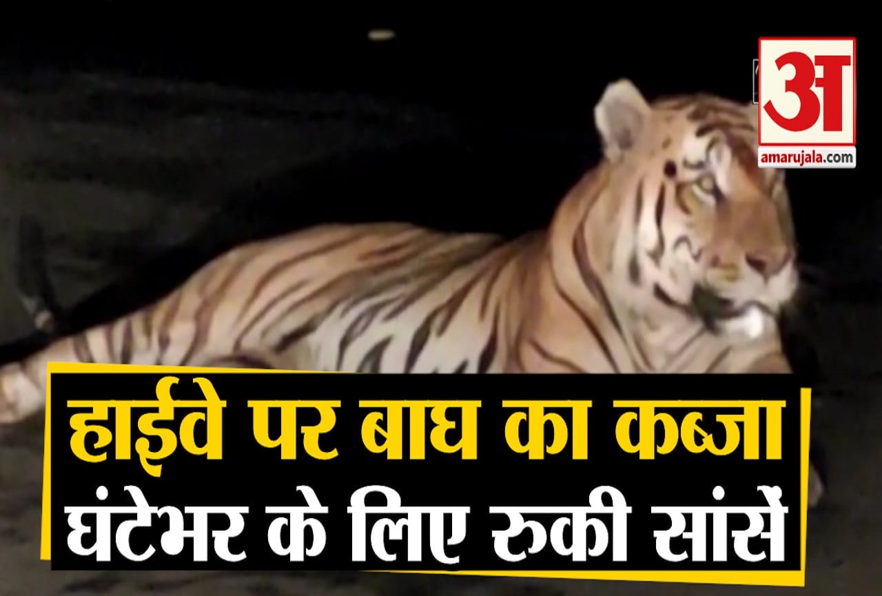 बाघ