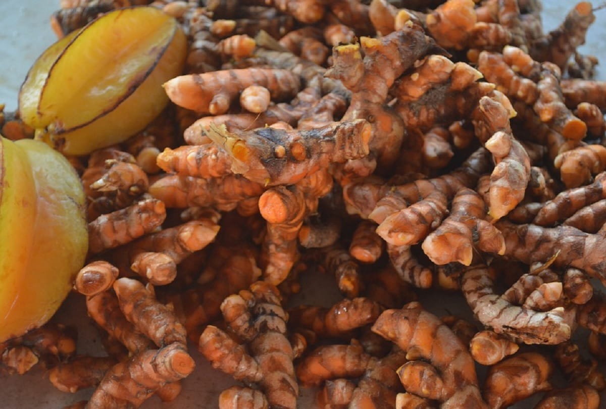 raw turmeric health benefits and advantages in hindi kachi haldi ke fayde hindi mein