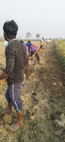 300 mafia swallowed land mafia under officers' patronage