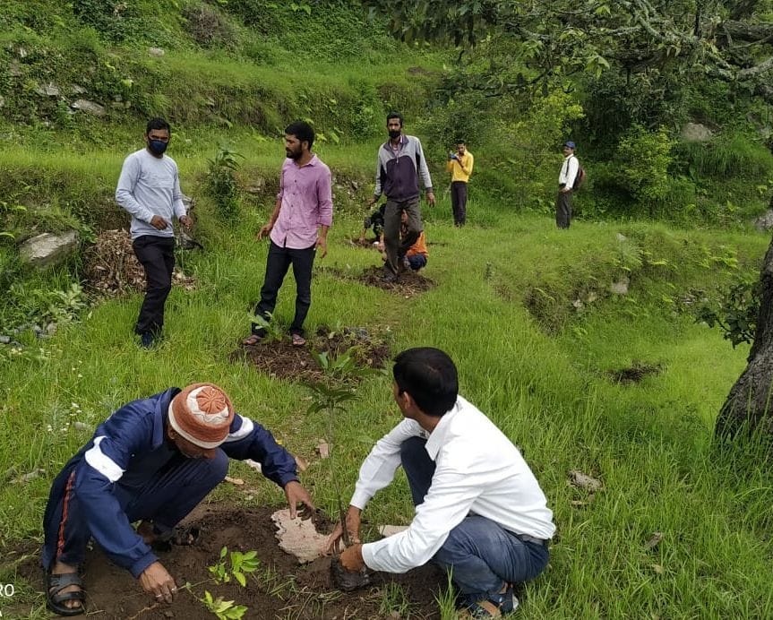 Claim: 905430 new plants in one hour in Champawat district