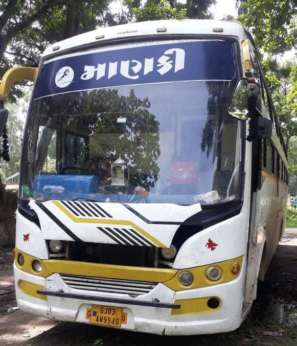 Private bus crushed Chital, Forest Department recovered 4.50 lakh fine