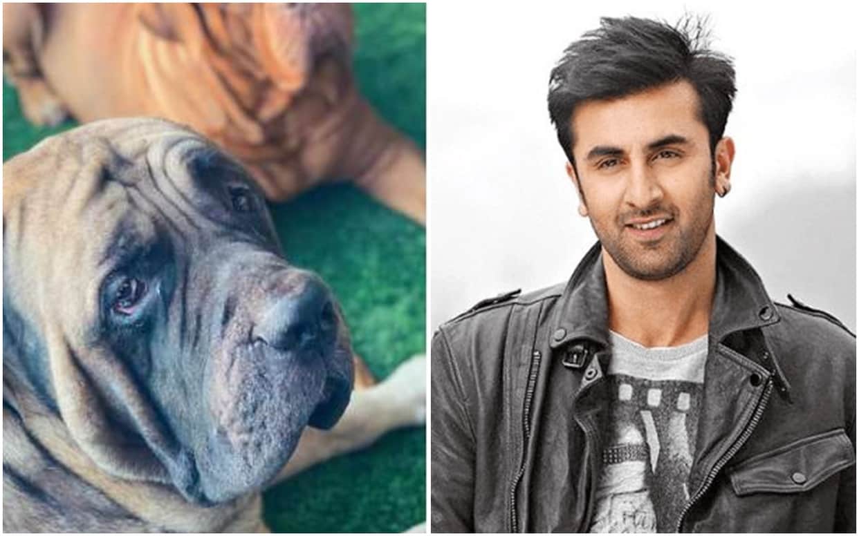 Ranbir Kapoor reportedly got bitten by his pet dog recently visit to the hospital