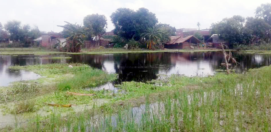 Crocodiles are in the pond of Mataihia village, villagers in panic