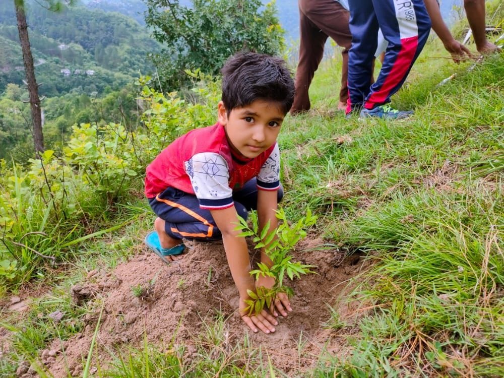 Planting of three and a half lakh plants on Harela festival