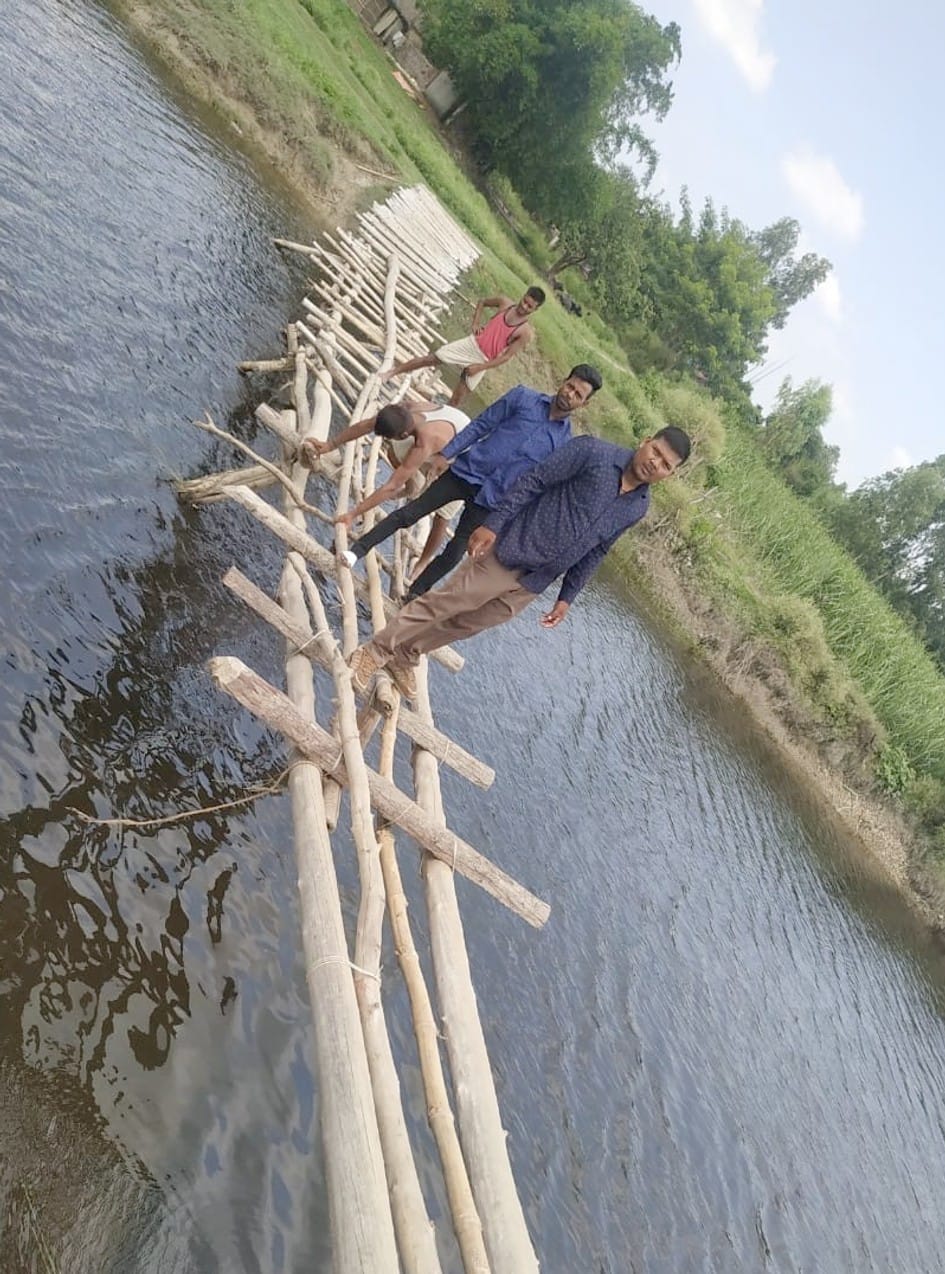 Bamboo-bridge built itself on the shore