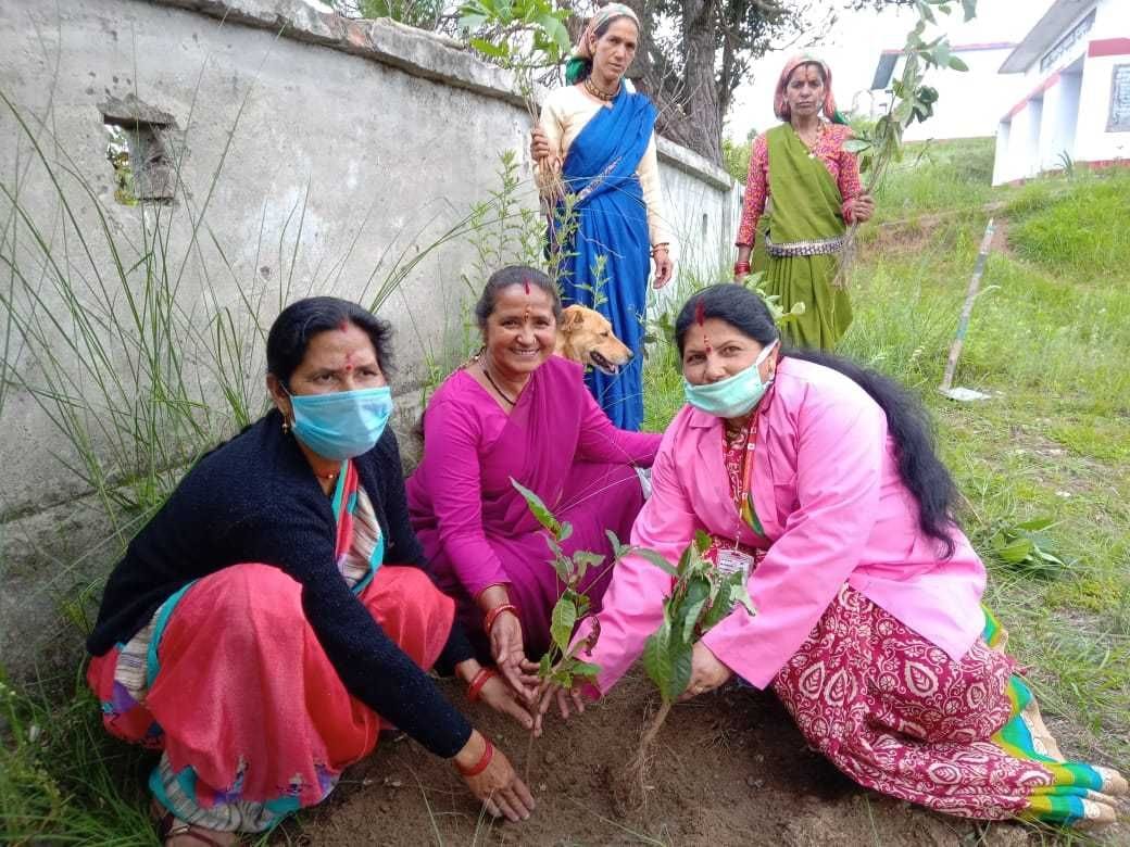 Plant not only plants, but also save them from famine death