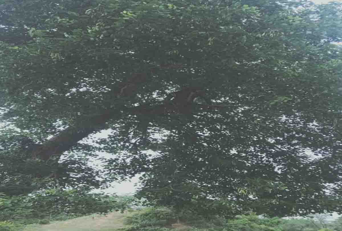 A man committed suicide in a village in Meerut