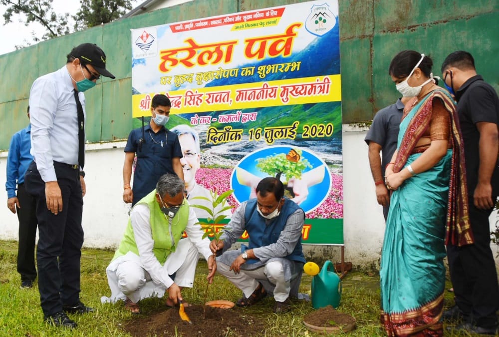 Harela Festival 2020: Plants will be adopted in Uttarakhand, Record of planting 3.50 lakh Plant made in one hour in Dehradun