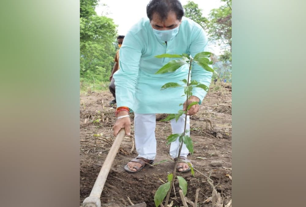 Harela 2022: BJP plan to plant five lakh saplings on Harela in Uttarakhand