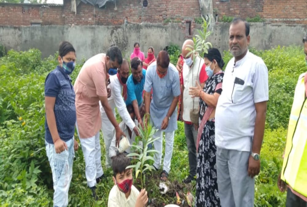 Harela Festival 2020:  Every Gram Prdhan will adopt one plant in Uttarakhand