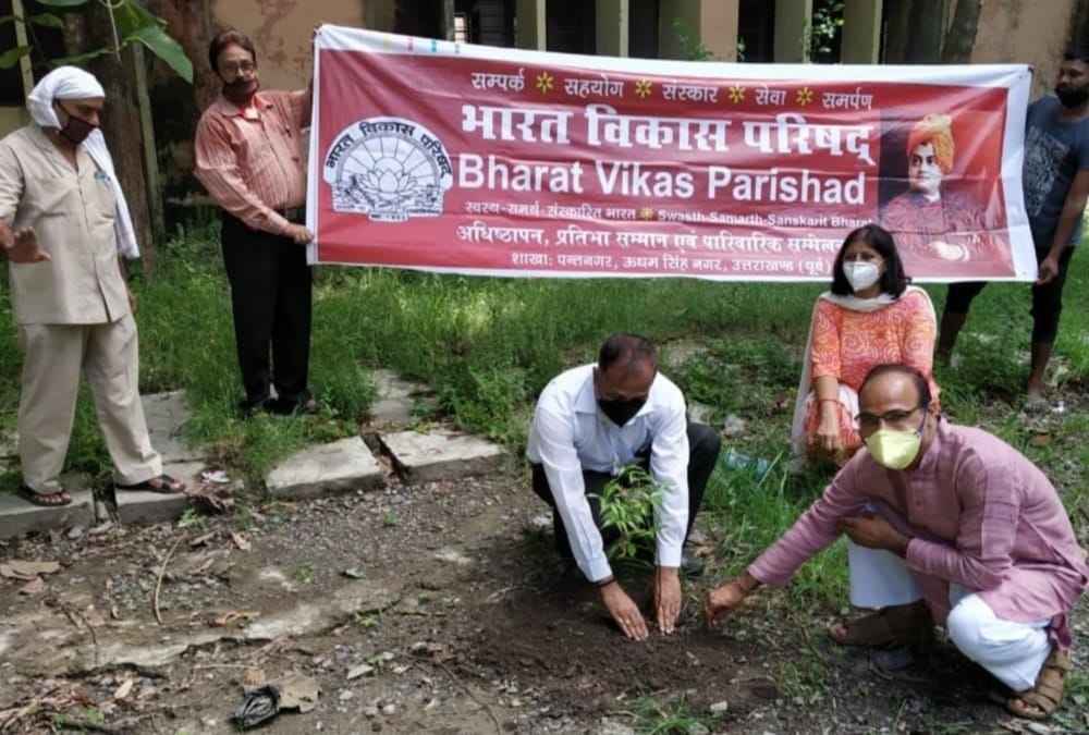 Harela Festival 2020: Plants will be adopted in Uttarakhand, Record of planting 3.50 lakh Plant made in one hour in Dehradun