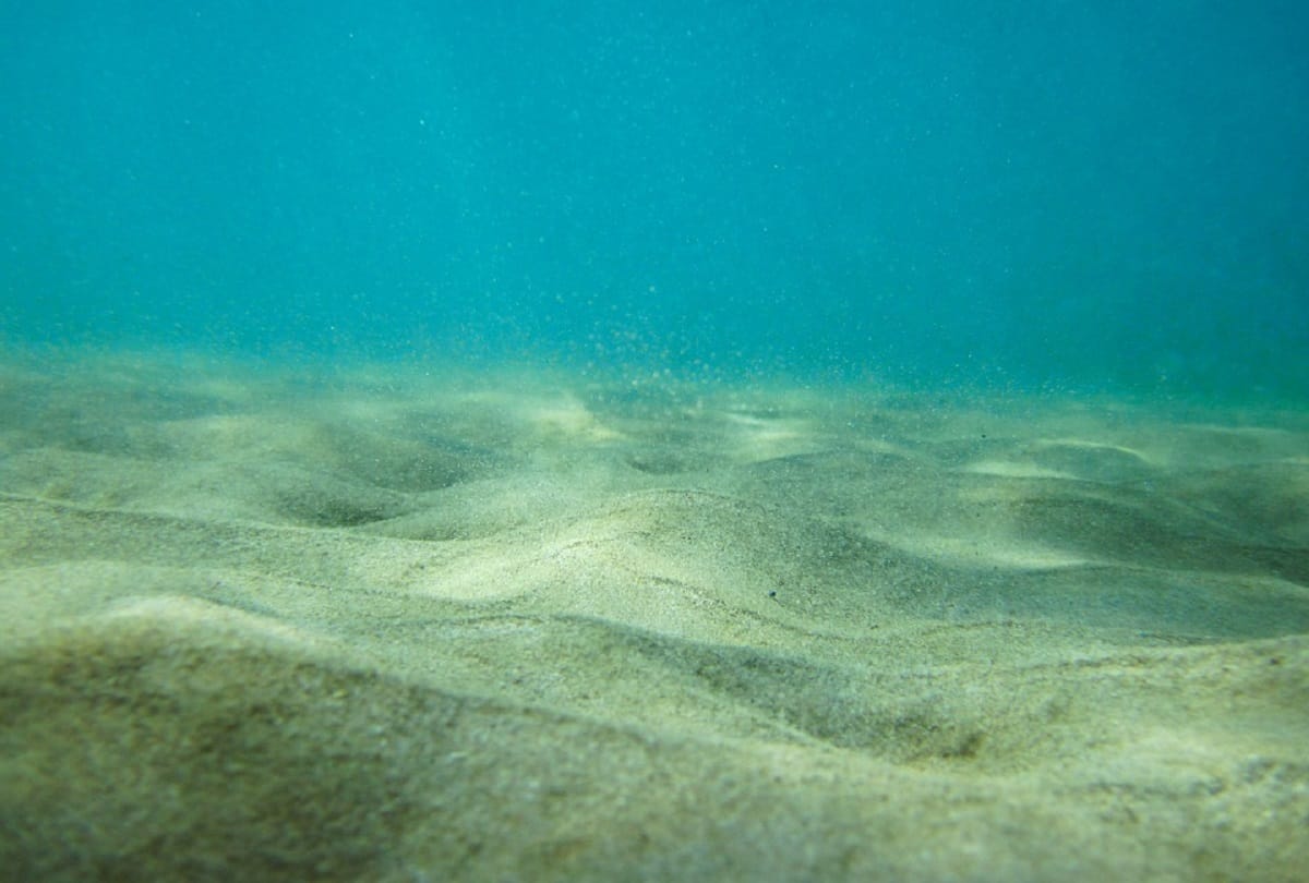 Mystery of Zealandia Earths Hidden Continent