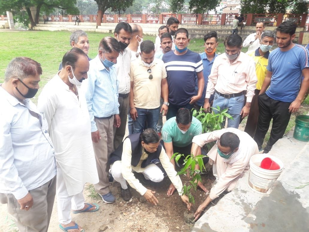 Plantation in Bageshwar