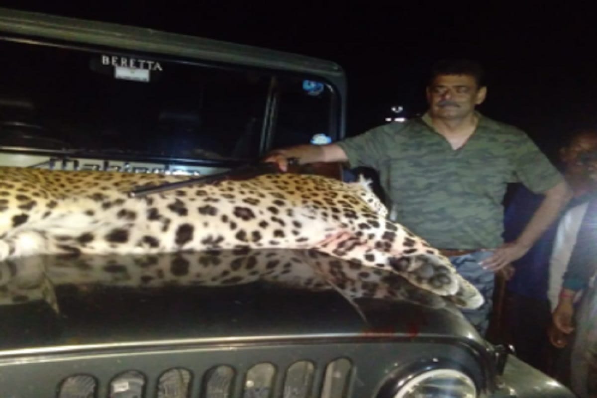 Hunter Nawab Saidbin Asif has killed man-eater Guldar in Bijnor of Uttar Pradesh