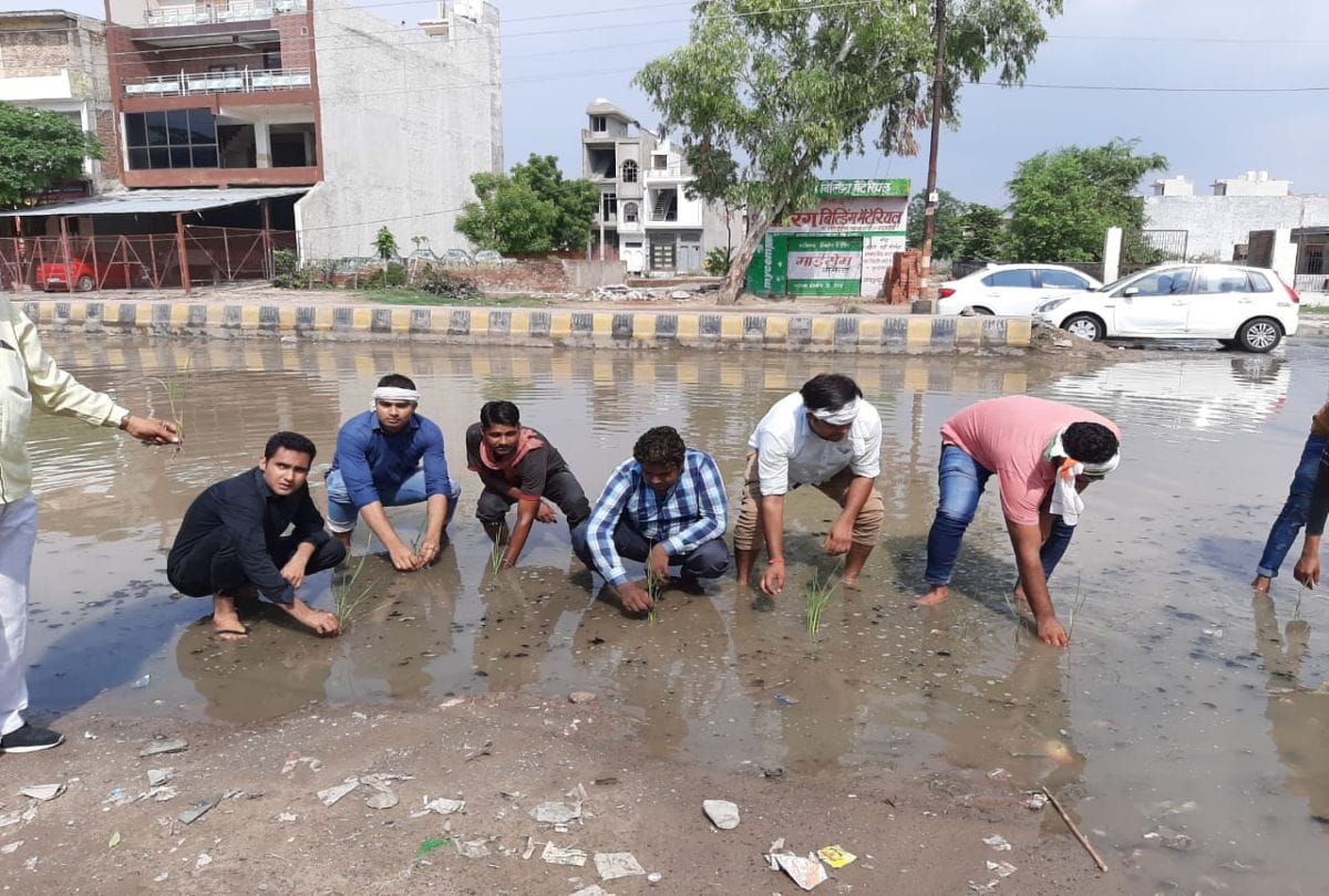 Congress Leaders Paddy Planted On Gwalior Highway Road Pit Free Campaign