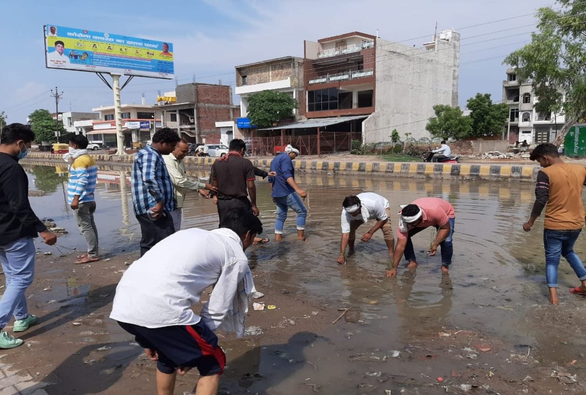 Congress Leaders Paddy Planted On Gwalior Highway Road Pit Free Campaign