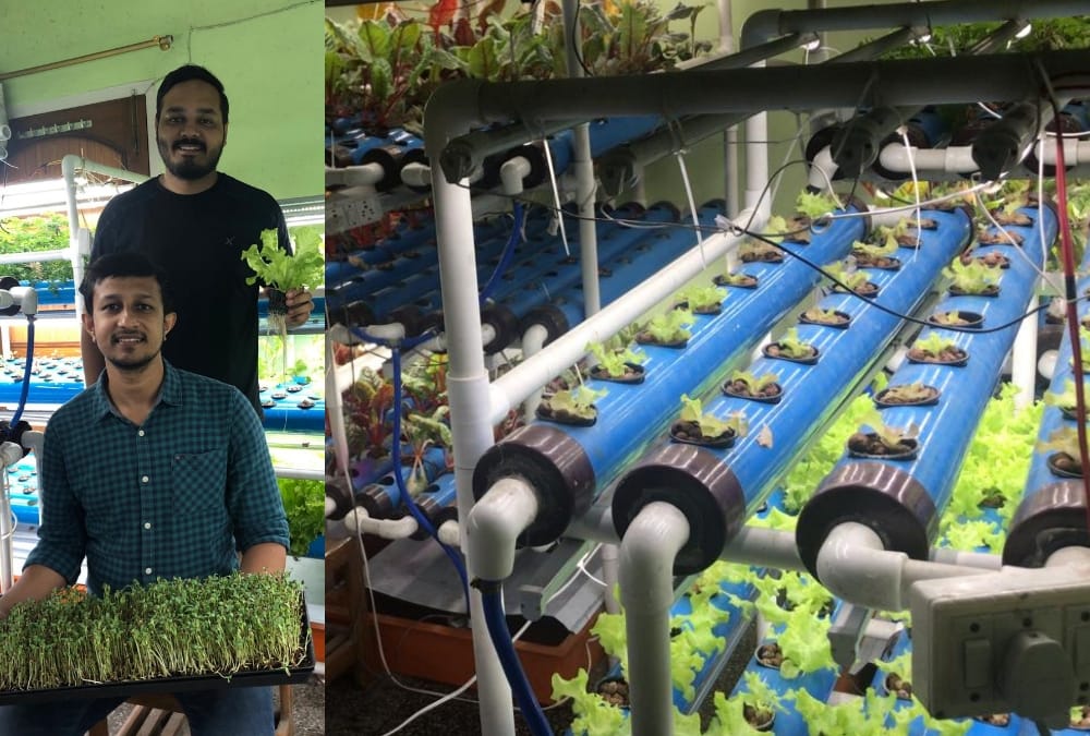 A hydroponic farming start up in Lucknow.