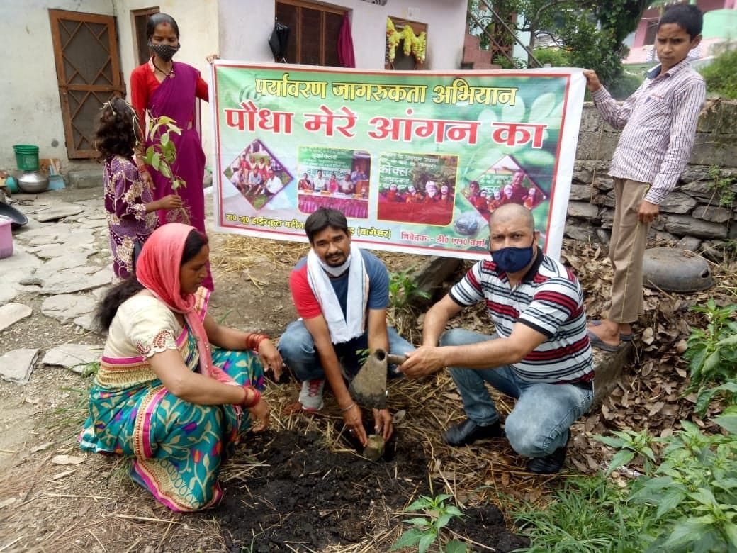 Plantation in garur
