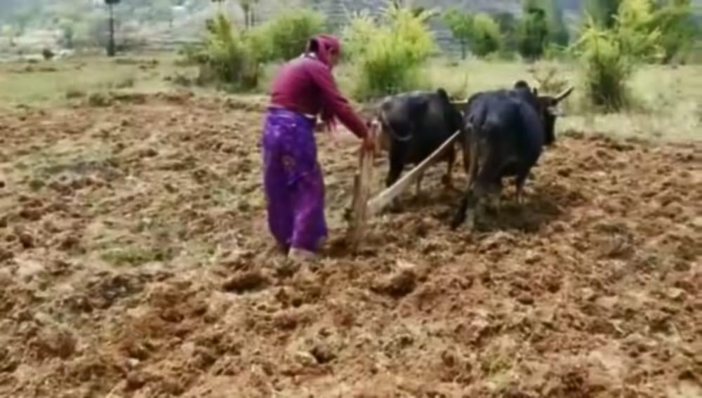 Example: Kaushalya broke male supremacy with Plowing the fields