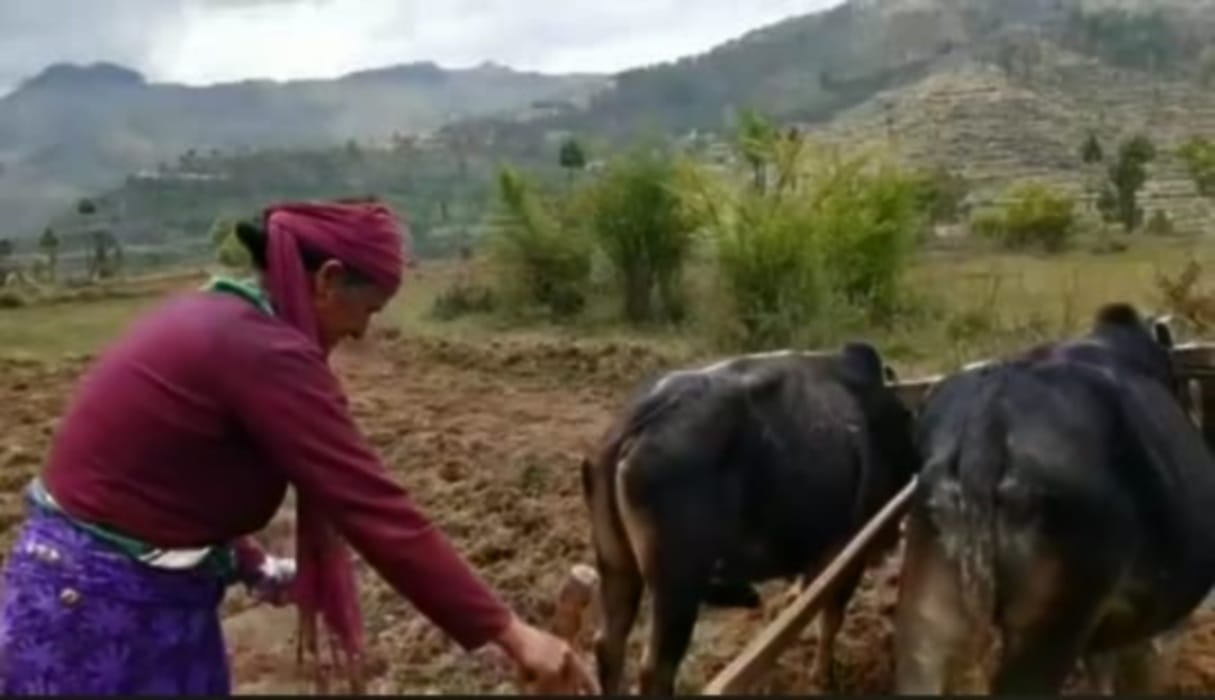 Example: Kaushalya broke male supremacy with Plowing the fields
