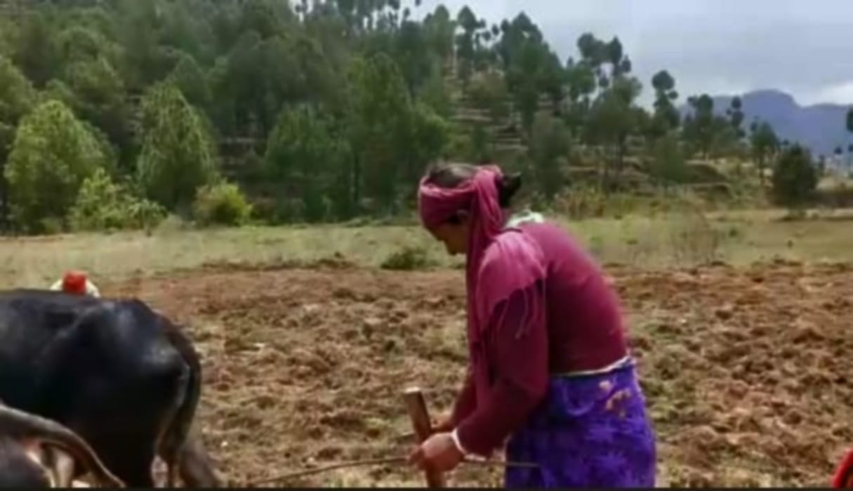 Example: Kaushalya broke male supremacy with Plowing the fields