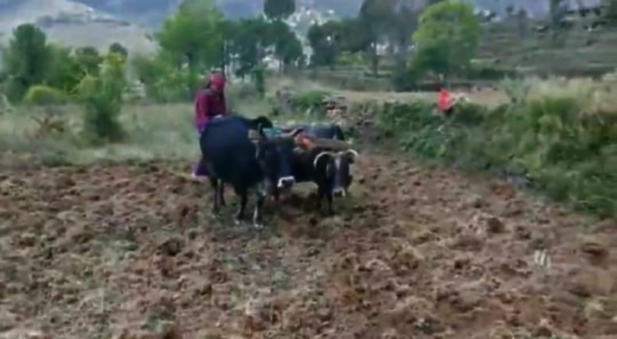 Example: Kaushalya broke male supremacy with Plowing the fields