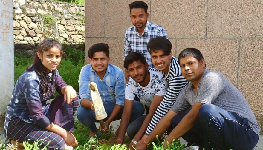 Plantation continued on Harela Mahotsav for second day