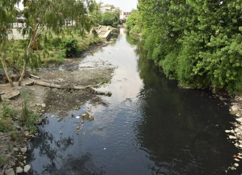 when will Kalyani River cleaned
