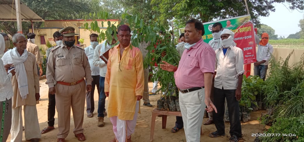 Farmers plant fruit and medicinal plants