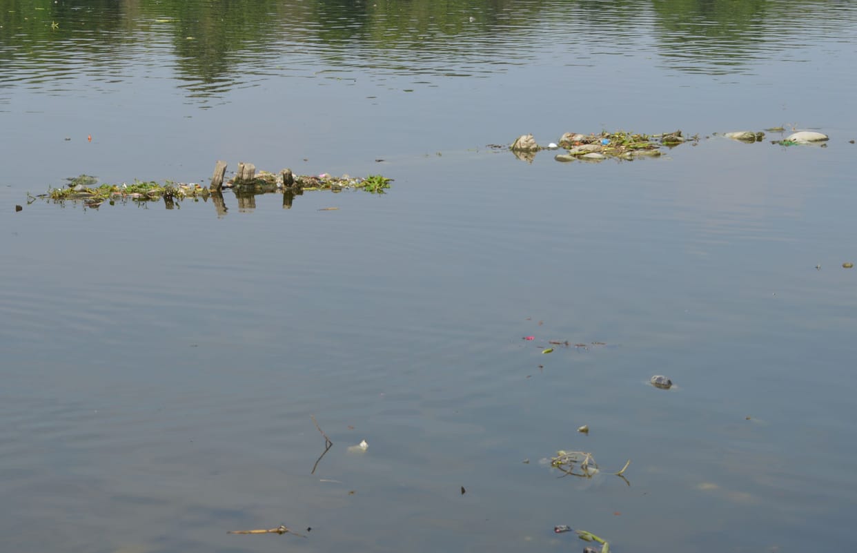 yamuna
