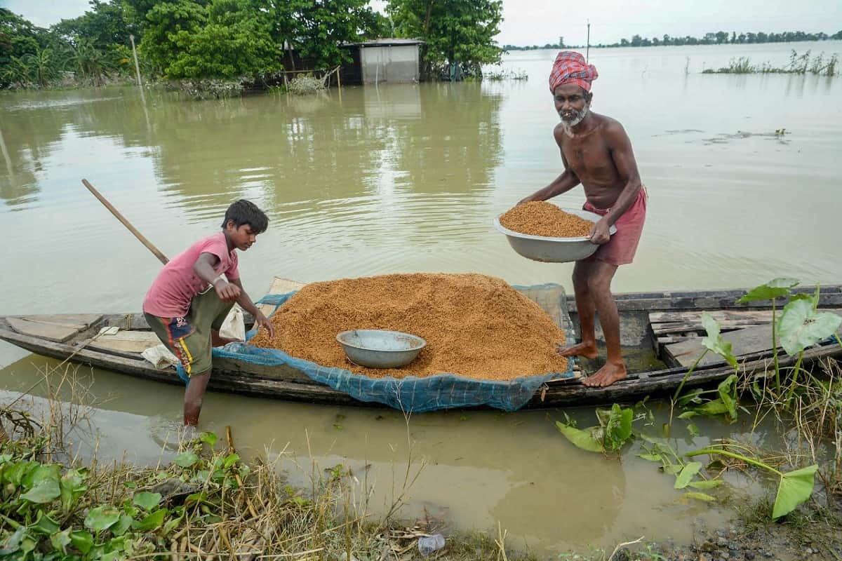 Assam Flood News: Assam Flood worst hit many human and animals in Kaziranga national park, See photos