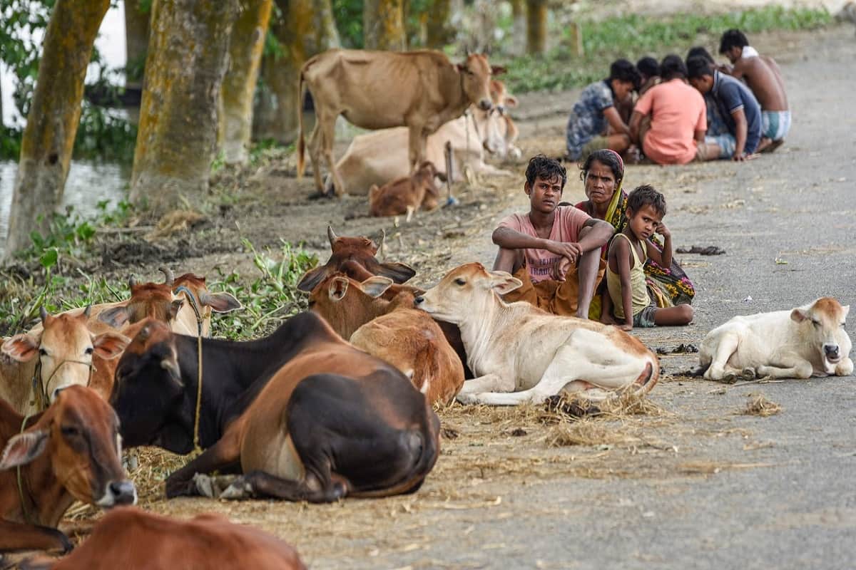 Center declares Assam floods as 'serious natural calamity', Himanta Biswa Sarma said - Center will give 90 percent of rehabilitation