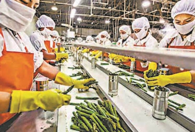UP government will pay half the cost to set up food processing unit