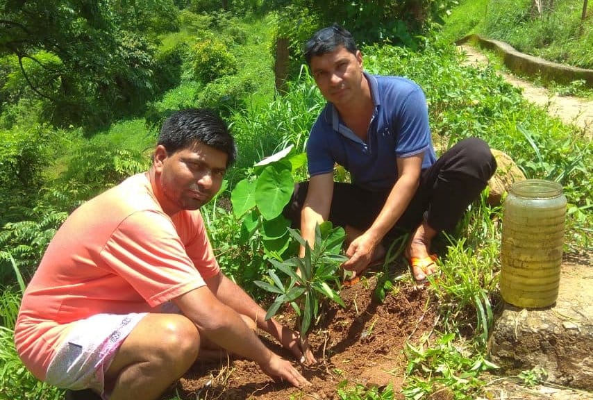 Old Market Holi Committee is planting 20 saplings every year instead of one tree