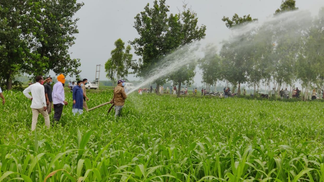 Locust Attack In Uttarakhand Latest News: Helping farmers with drones, sprays and fire brigades