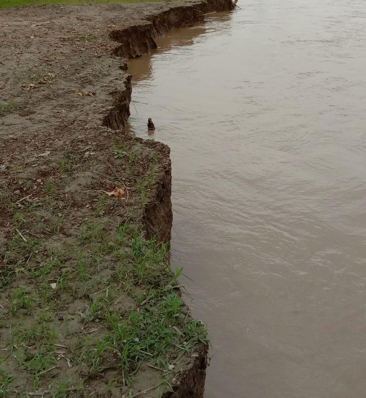 Six houses and 20 bighas farmed in the river