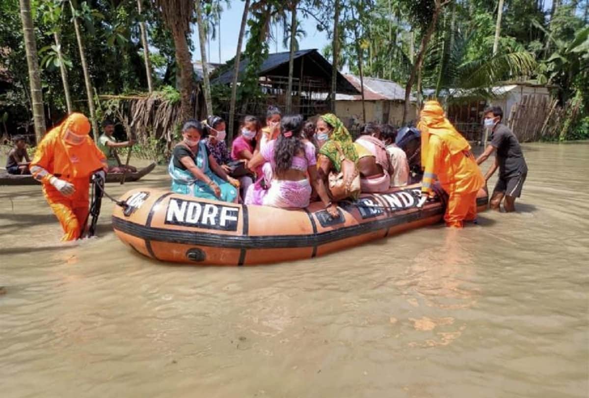 Assam Flood News: Assam Flood worst hit many human and animals in Kaziranga national park, See photos