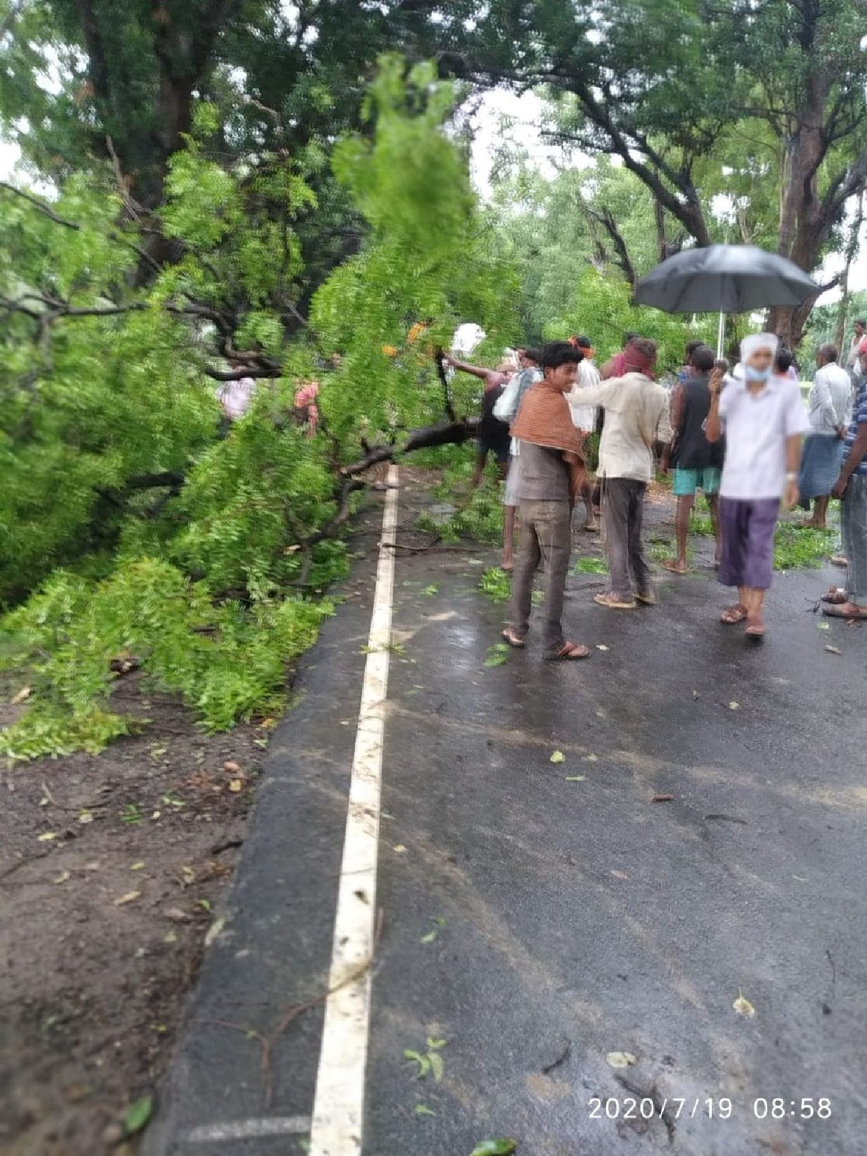 Trees fell on the highway during rain, two hours jammed